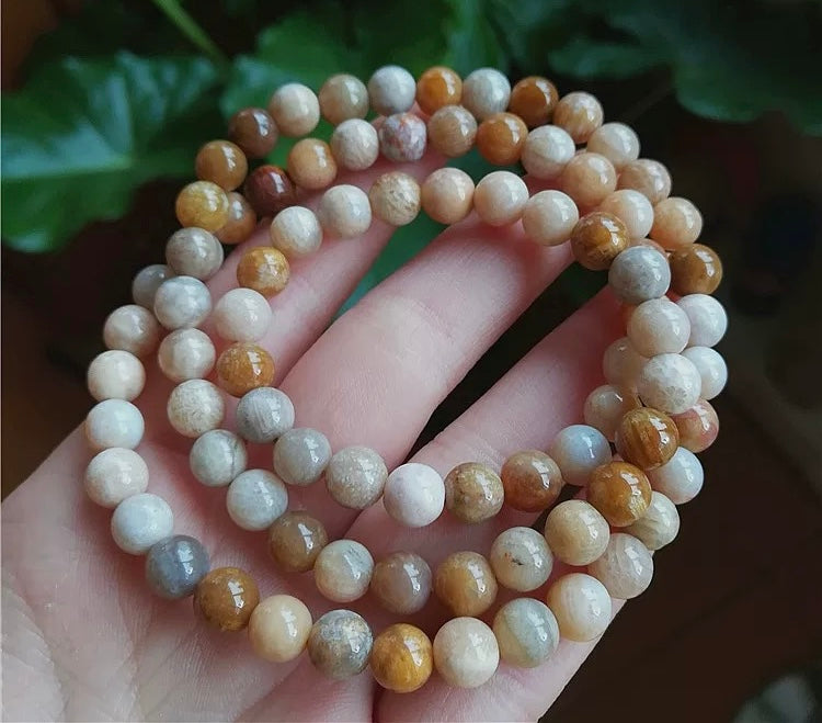 Time Guardian Coral Agate